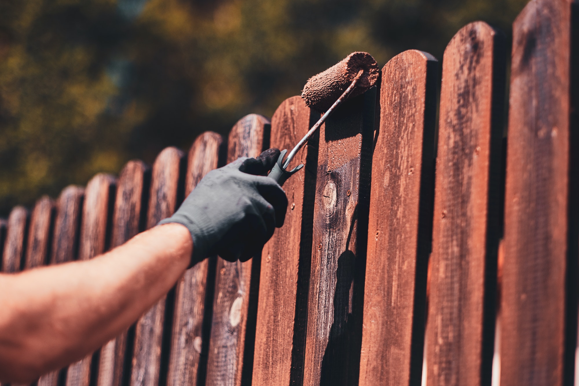 Diligent man is painting fence with brush